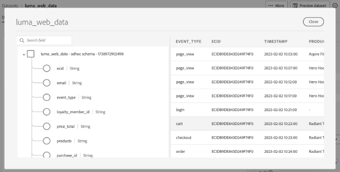 Die Datensatzvorschau des Datensatzes „luma_web_data“.