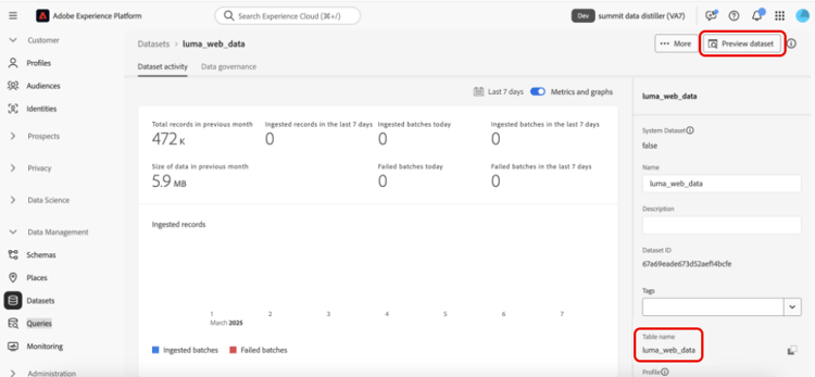 Die Registerkarte „Datensatzaktivität“ für den neu erstellten Datensatz „luma_web_data“ mit Tabellennamen, Batch-ID und hervorgehobener „Vorschau des Datensatzes“.