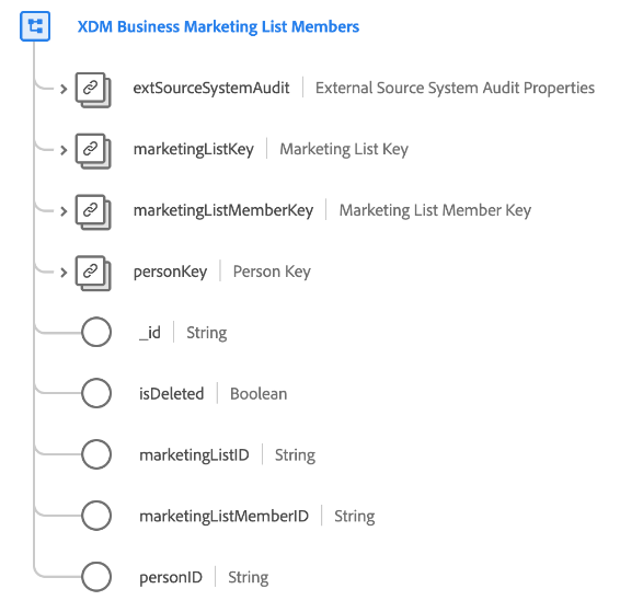 Die Struktur der XDM Business Marketing List Members-Klasse, wie sie in der Benutzeroberfläche angezeigt wird