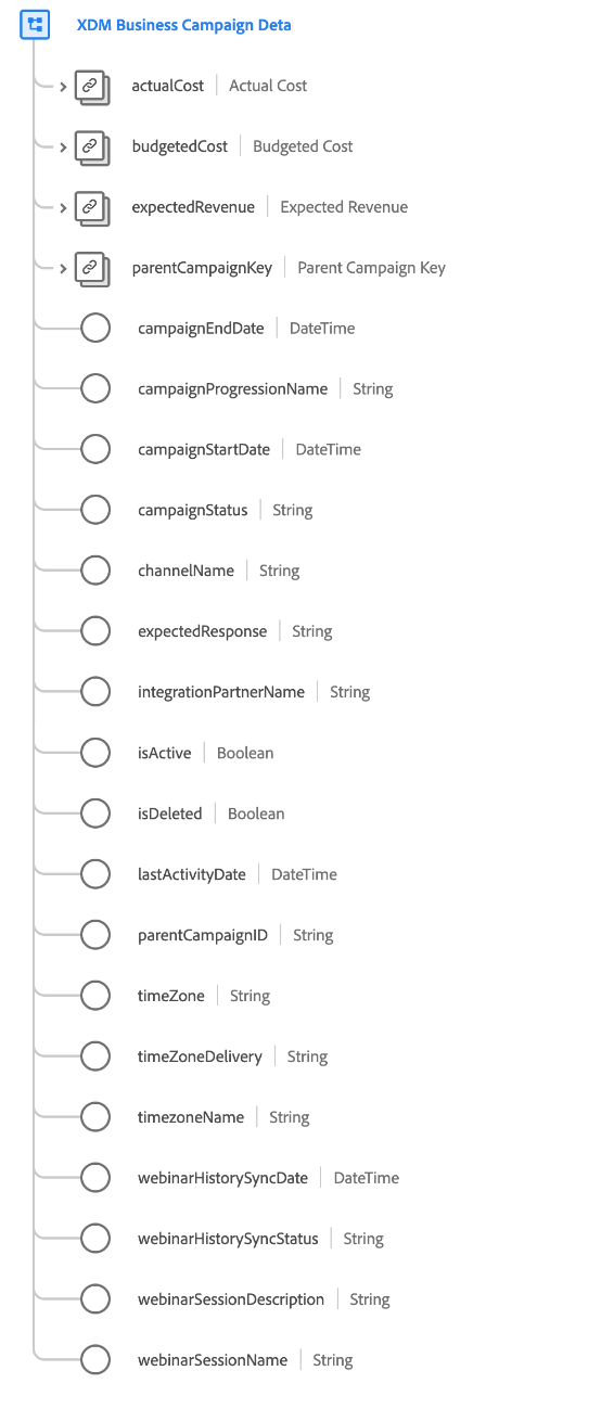 Die Struktur der XDM Business Campaign Details-Feldergruppe, wie sie in der Benutzeroberfläche angezeigt wird