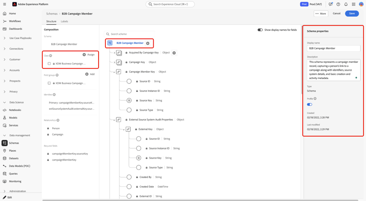 Die Ansicht Schema-Editor mit ausgewähltem Schemastamm und geöffnetem Bedienfeld mit den Schemaeigenschaften zur Überprüfung wichtiger Metadaten.