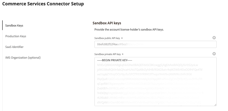 Commerce Services-Connector einrichten