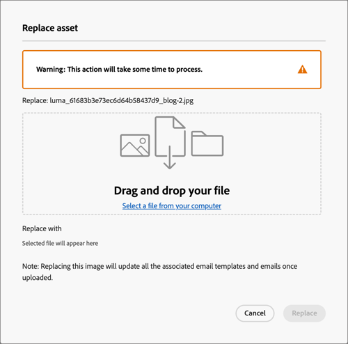 Dialogfeld „Asset ersetzen“