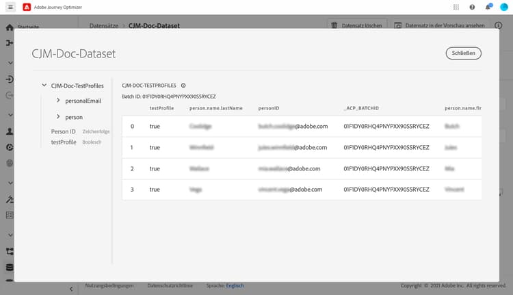 Datensatzvorschau mit importierten Testprofilen