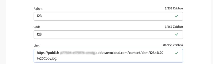 Textfeld eines AEM-Inhaltsfragments mit der kopierten Veröffentlichungs-URL für das referenzierte Asset.