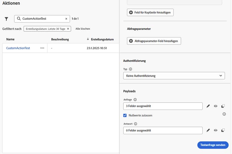 Schaltfläche „Testanfrage senden“ im Panel „Aktionskonfiguration“