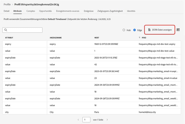 Ansicht der Profilattribute im JSON-Format mit Status der Zielgruppenzugehörigkeit