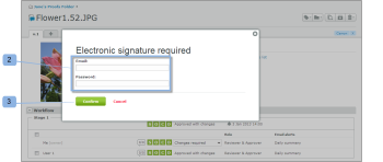 Electronic_Signature_-_Proof_Details_2.png