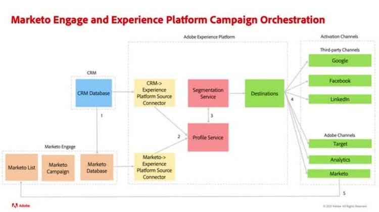 Orchestrieren von Kampagnen mit Marketo Engage und Real-time Customer Data Platform, B2B Edition