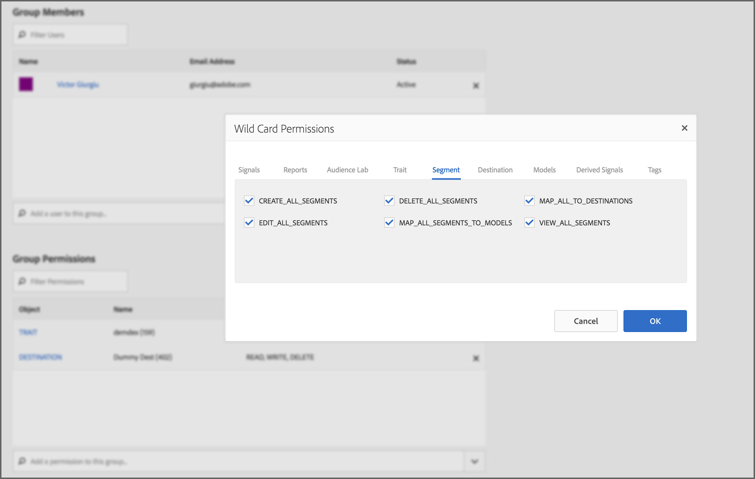 adobe audience manager adwords