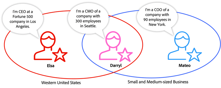 This diagram shows how people can qualify for different audiences based on their demographic data of location (Western United States) or company size (Small and Medium-sized Business).