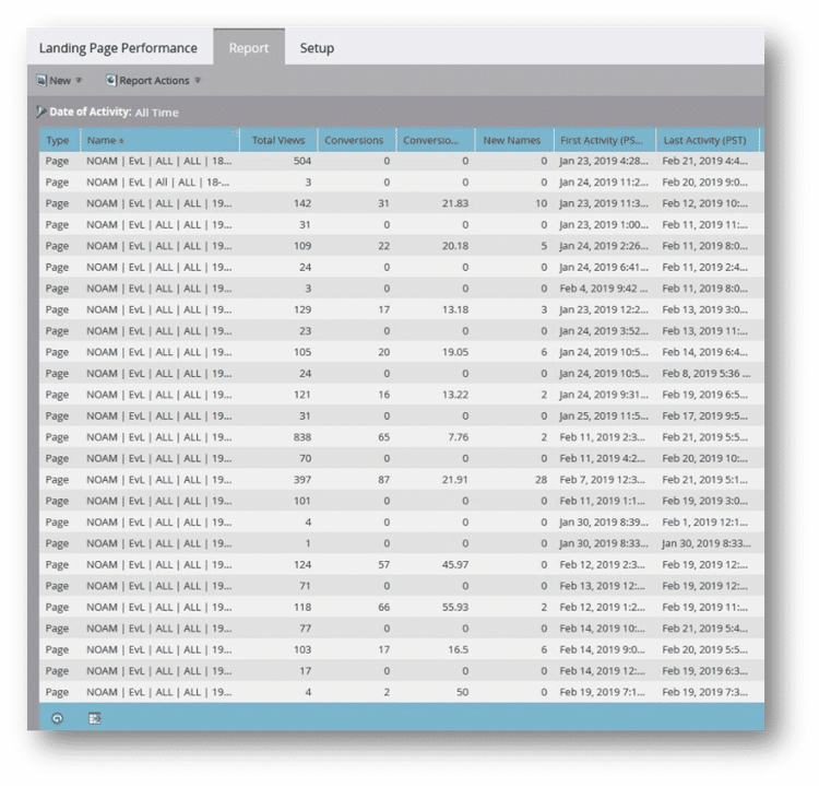 A landing page performance report showing multiple pages, their views, conversions, and new names.