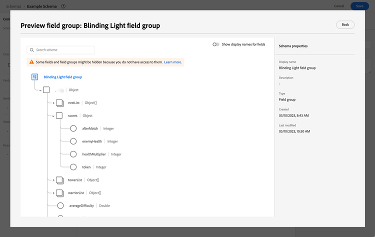 Blinding Light fieldgroup preview