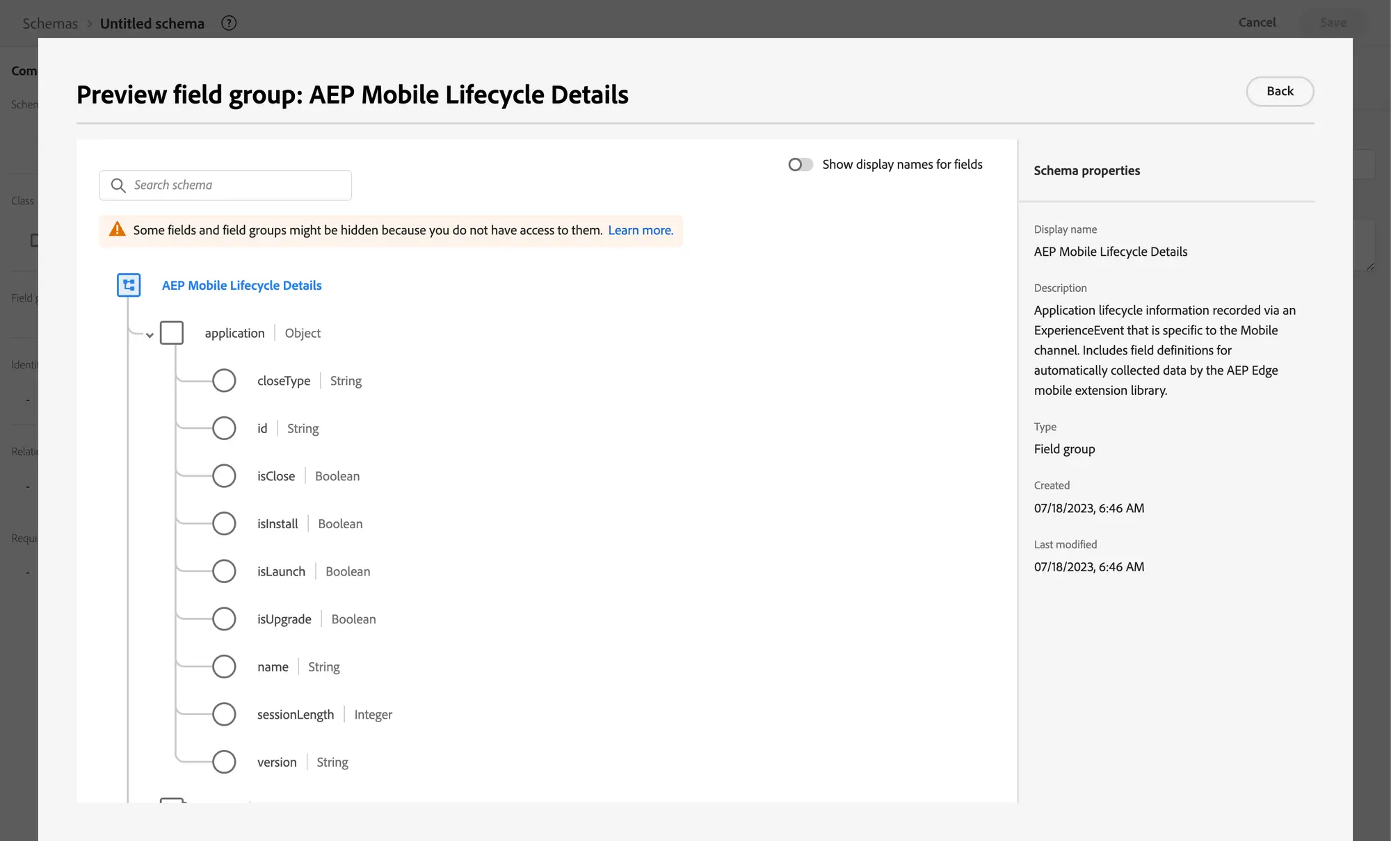 AEP Mobile Lifecycle Details fieldgroup preview