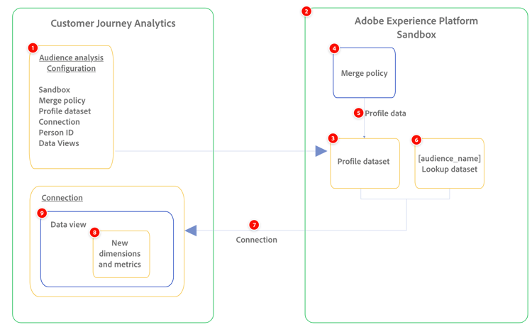 Audience analysis overview