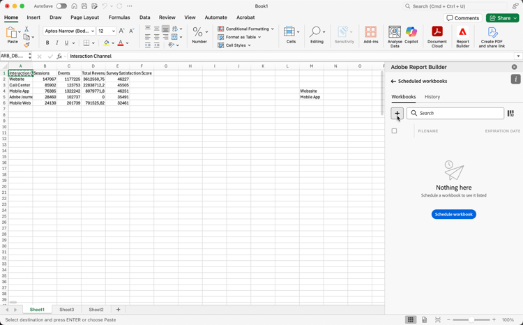 The Schedule workbooks window.