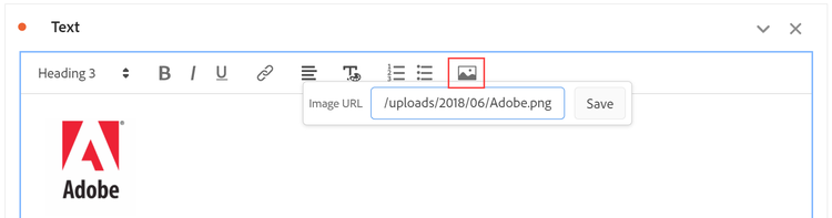 Text options with the image icon selected.
