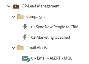 OP-Lead Management | Adobe Marketo Engage