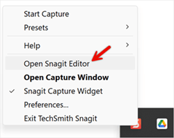 Snagit Editor