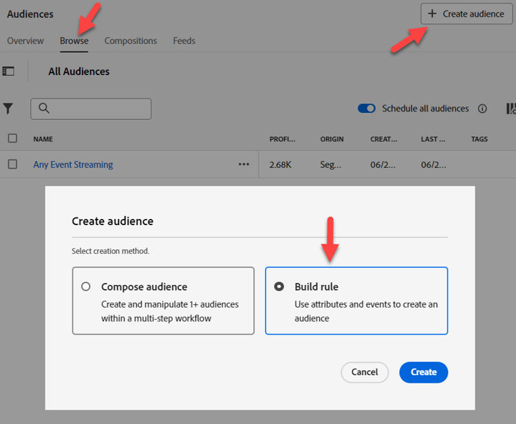 Click Audience in the left rail, then click Create Audience