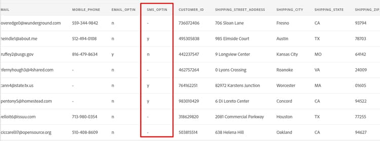 Preview showing smsoptIn field with several missing consent values