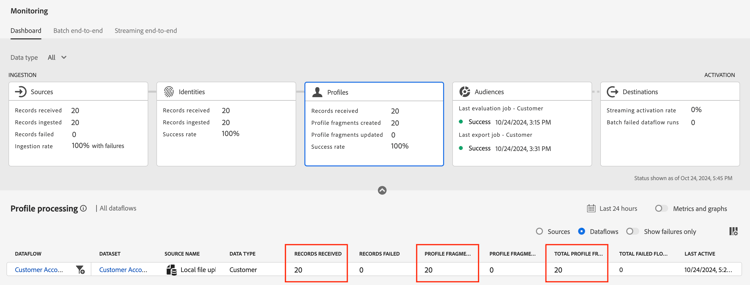 Profiles card on the monitoring screen showing profile fragment metrics