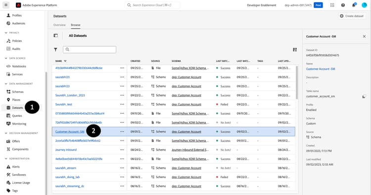 Accessing the created dataset in the Datasets pane
