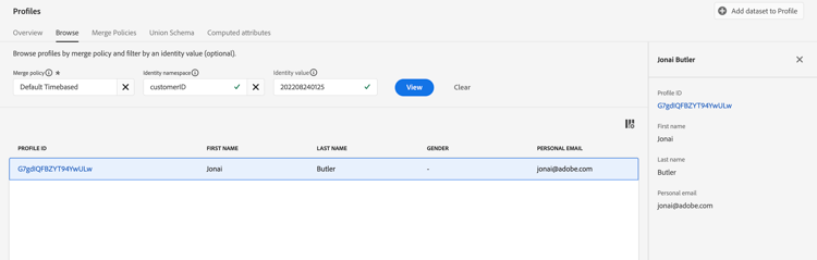 Browse Profile screen showing the returned profile row after searching by customerID