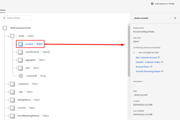 Right rail details for the account object showing contributing schemas and datasets