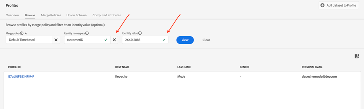 Profile Viewer with customerID namespace and value entered to look up Depeche Mode