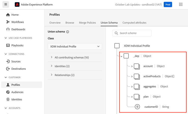 Union Schema view of the XDM Individual Profile class expanded to show tenant namespace fields