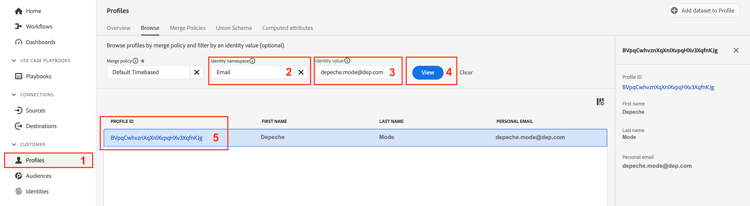 Profile Viewer Browse tab with Email namespace and depeche.mode@dep.com entered