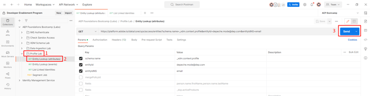 Postman request pane for the Entity Lookup (attributes) call before sending