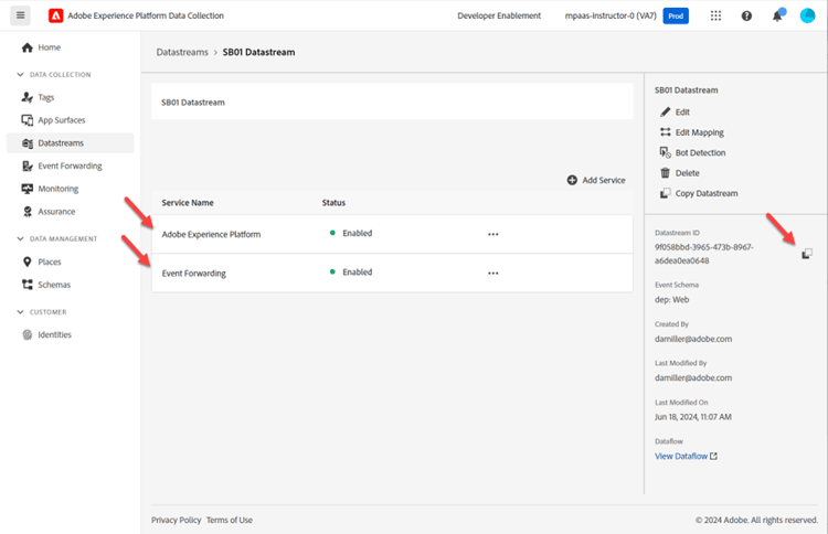 Final datastream configuration with both Event Forwarding and Adobe Experience Platform services listed