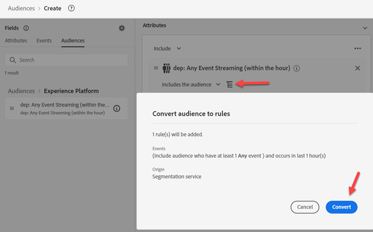 Convert icon in the canvas used to convert the audience into a set of rules