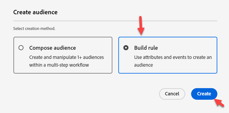 Build Rule canvas opened for creating a new audience