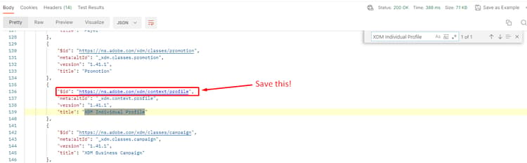 XDM Individual Profile class located in the API response