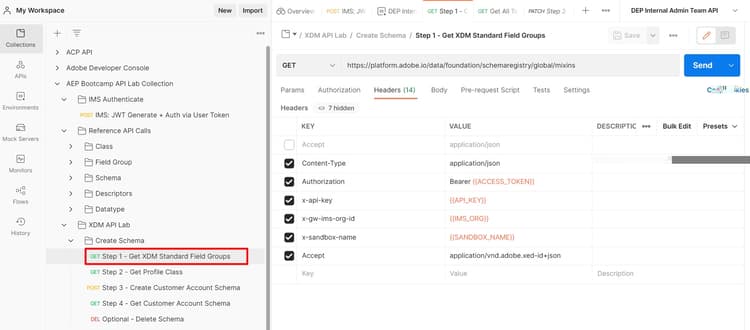 Step 1 - Get XDM Standard Field Groups API request