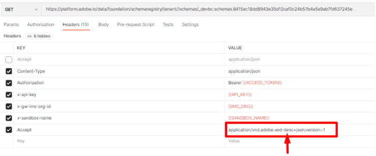 Accept header field in the Step 3 Get Customer Account Schema request