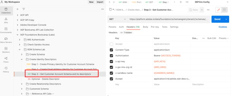 Step 3 - Get Customer Account Schema w/descriptors API request