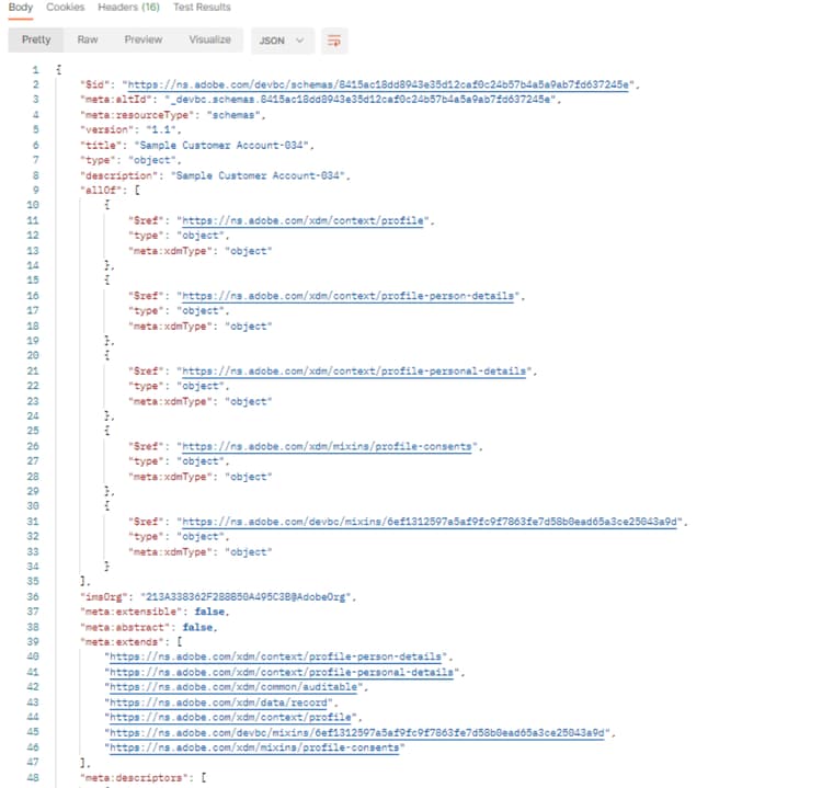 Body of the API response showing the schema's XDM JSON structure