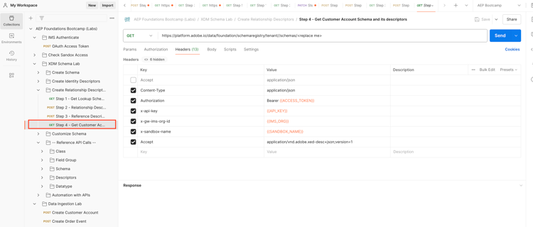 Step 4 - Get Customer Account Schema and its descriptors API call