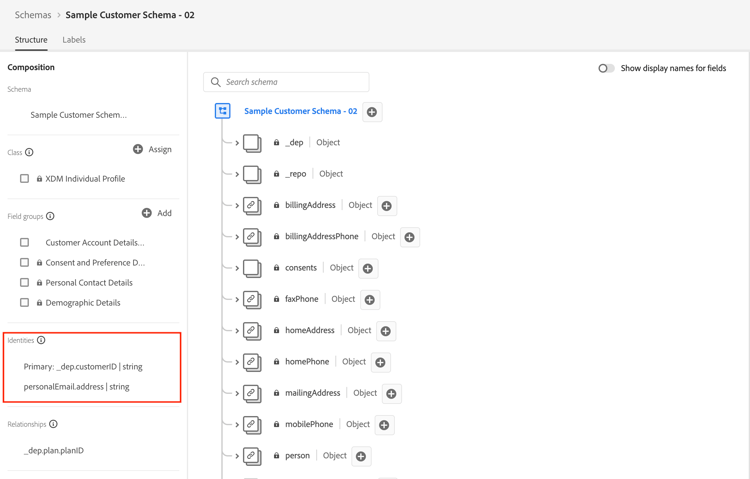 Customer Account schema showing primary and non-primary identity descriptors