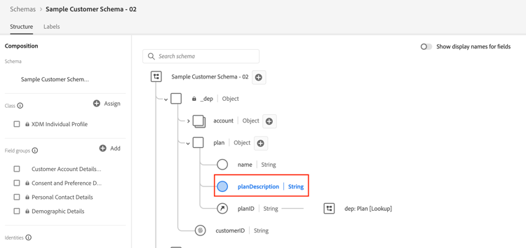 JSON Patch request adding a planDescription field to the Customer Account Details field group