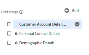 Customer Account Details field group selected in the left rail before adding a new field