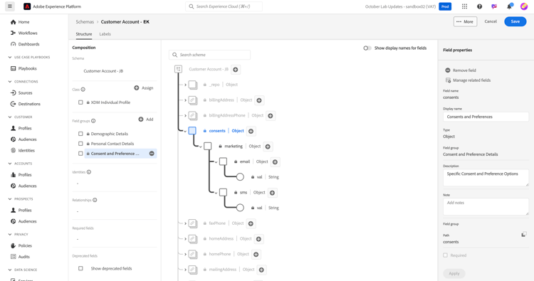 Schema after managing related fields for the Consent and Preferences field group