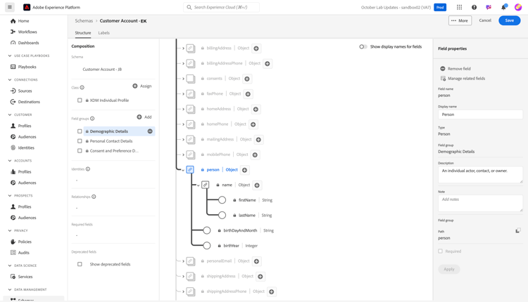 Final Demographic Details person object with only the necessary fields