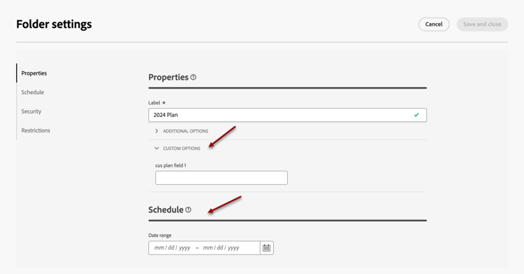 Screenshot showing the custom options for a plan