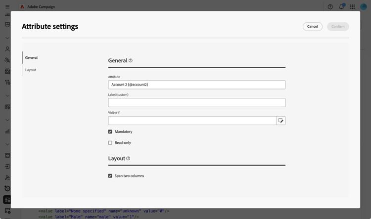 Attribute settings dialog