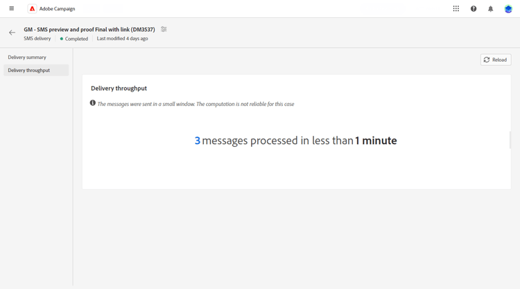 Description: The image shows the Delivery throughput report, which includes metrics such as the number of messages sent per hour within a specified timeframe.